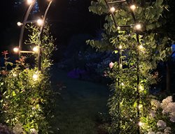 Gothic Arch With Lights
Garden Design
Calimesa, CA