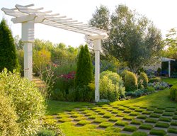 Grand Arbor, Focal Point, Suburban Garden
Garden Design
Calimesa, CA