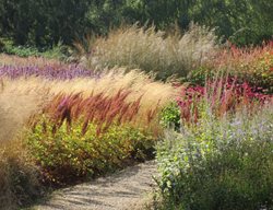Grass Garden In Fall
Shutterstock.com
New York, NY