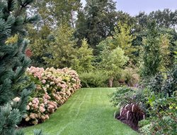 Grass Path Through Garden Borders
Garden Design
Calimesa, CA