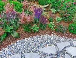 Gravel And Bark Mulch In Garden
Shutterstock.com
New York, NY