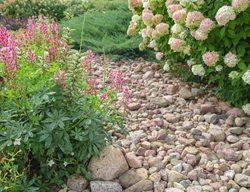 Gravel Mulch
Shutterstock.com
New York, NY