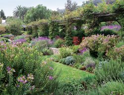 Grd0210_hg1
Garden Design
Calimesa, CA