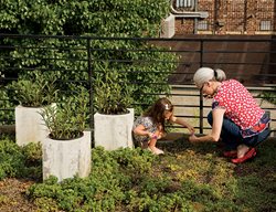 Grd0210_lg1
Garden Design
Calimesa, CA