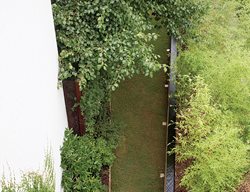 Grd0210_lg2
Garden Design
Calimesa, CA