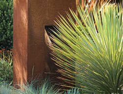 Grd0210_mo1_3783
Debora Carl Landscape Design
Encinitas, CA