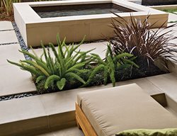 Grd0210_mo11_4197
Debora Carl Landscape Design
Encinitas, CA