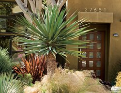 Grd0210_mo2_3778
Debora Carl Landscape Design
Encinitas, CA