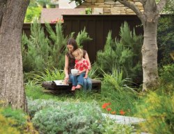 Grd0210_mo3_4253
Debora Carl Landscape Design
Encinitas, CA