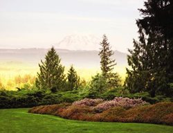 Grd0313
Garden Design
Calimesa, CA