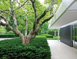 Grd0611_mr1
Garden Design
Calimesa, CA