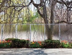 Grd0611_mr2
Garden Design
Calimesa, CA