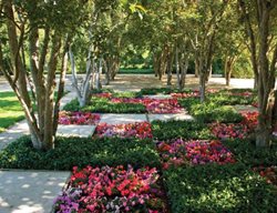 Grd0611_mr4
Garden Design
Calimesa, CA