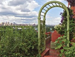 Green Arbor
Garden Design
Calimesa, CA