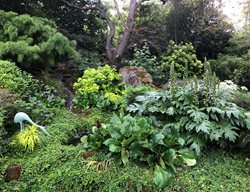 Green Foliage Garden
Garden Design
Calimesa, CA