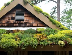 Green Roofs 
Garden Design
Calimesa, CA