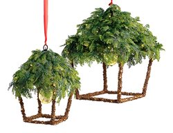 Greenery Lantern
Garden Design
Calimesa, CA