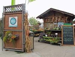 Greensgrow Farms
Garden Design
Calimesa, CA