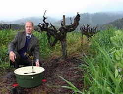 Groasis Water Box
Garden Design
Calimesa, CA