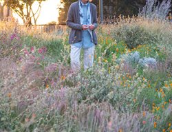 Groundbreaker
Garden Design
Calimesa, CA