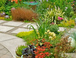 Grouping Of Pots With Water Feature
Linda Ernst (Homeowner)
Portland, OR