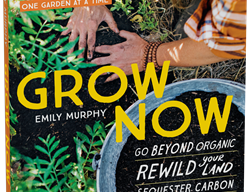 Grow Now Book, Gardening Book
Garden Design
Calimesa, CA