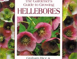 Guide To Growing Hellebores
Garden Design
Calimesa, CA