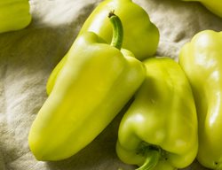 Gypsy Peppers, Pale Yellow Peppers
Shutterstock.com
New York, NY