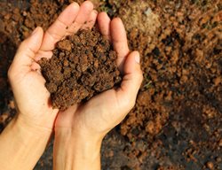Hands With Clay Soil, Clay Soil
Shutterstock.com
New York, NY