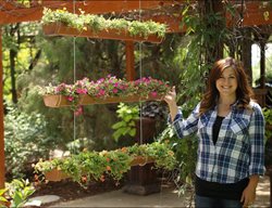 Hanging Garden, Diy Gutter Garden
Garden Answer
