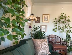 Hanging Houseplants
Garden Design
Calimesa, CA