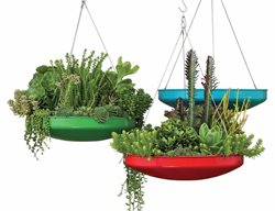 Hanging Planter, Succulent Dish Garden
Pot Incorporated
Vancouver, BC