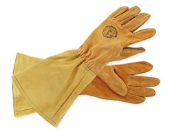 Harvest Berries And Cut Back Canes
Garden Design
Calimesa, CA