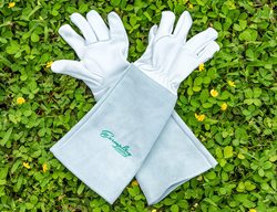 Harvest Berries And Cut Back Canes
Garden Design
Calimesa, CA