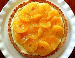 Harvest Citrus
Garden Design
Calimesa, CA