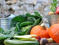 Harvest, Harvest, Harvest
Garden Design
Calimesa, CA