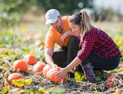 Harvest Pumpkins, Winter Squash & Gourds
Garden Design
Calimesa, CA