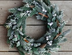 Harvest Winter Greens, Berries, Cones, And More
Garden Design
Calimesa, CA