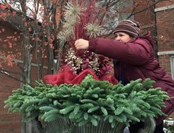 Harvest Winter Greens, Colorful Stems & Seed Heads
Garden Design
Calimesa, CA