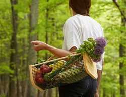 Harvester Basket
Garden Design
Calimesa, CA