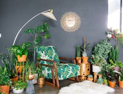 Haute Houseplants
Garden Design
Calimesa, CA