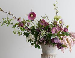 Have Fun With Hellebores
Garden Design
Calimesa, CA