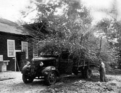 Hazel Bark
Garden Design
Calimesa, CA