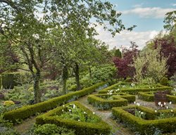 Hedge
Garden Design
Calimesa, CA