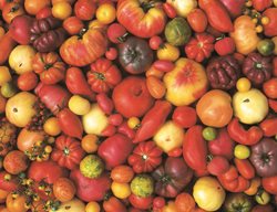 Heirloom Tomatoes, Tomato Varieties
Garden Design
Calimesa, CA