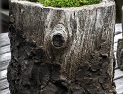 Henfeathers
Garden Design
Calimesa, CA