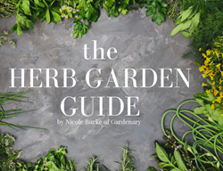 Herb Garden Class, Nicole Burke
Garden Design
Calimesa, CA