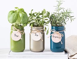 Herb Garden Kit, Mason Jar
Garden Design
Calimesa, CA