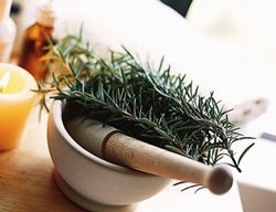 Herbal Helpers
Garden Design
Calimesa, CA