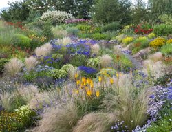 Hillside Garden, Summer Garden
Garden Design
Calimesa, CA